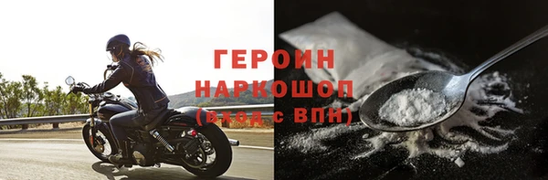 индика Осинники