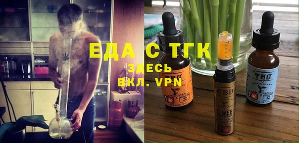 индика Осинники