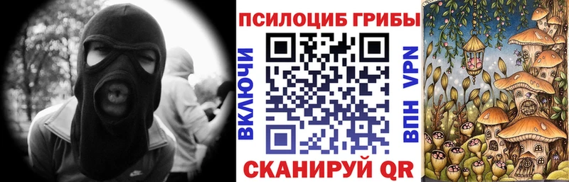 Купить закладки  Сорочинск  Псилоцибиновые грибы Psilocybine cubensis 